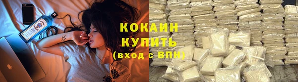 PSILOCYBIN Навашино
