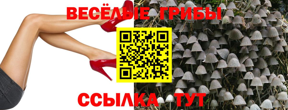 Псилоцибиновые грибы Magic Shrooms  где найти наркотики  Менделеевск  Вход с VPN 