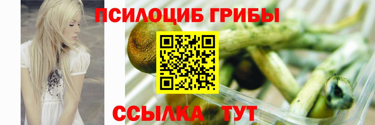 NBOMe  A-PVP  Cocaine  Менделеевск  Бошки Шишки  Вход с VPN  COCAIN  МЕФ 