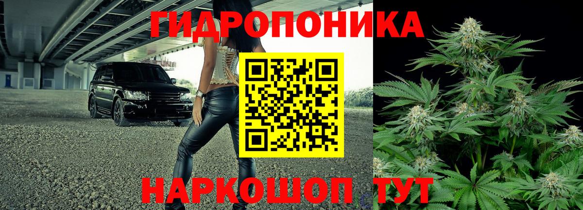 Бошки марихуана THC 21% Менделеевск